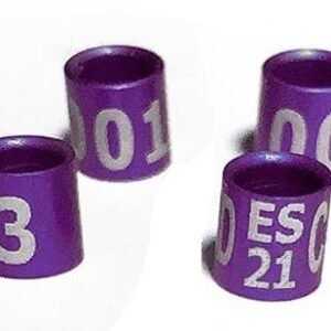 23857.jpg