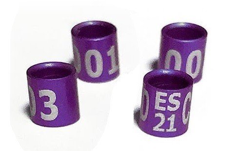 23858.jpg 23858.jpg