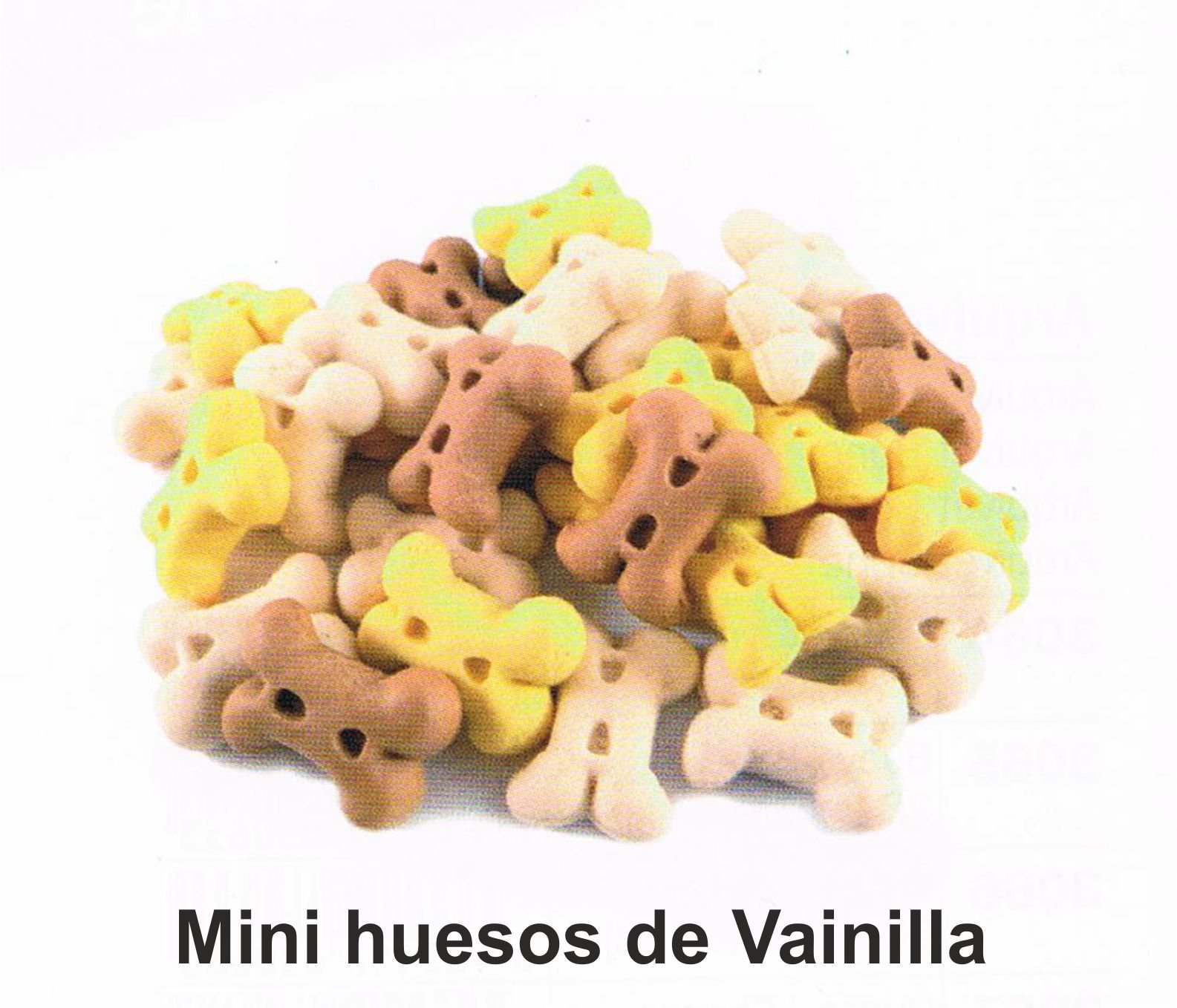 4604.jpg 4604.jpg