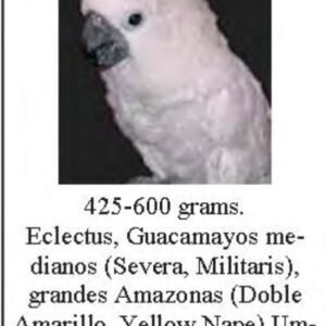 7624.jpg