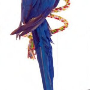 7656.jpg